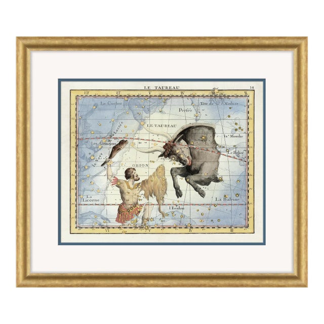 Taurus Framed Art Print by David Phoenix For Sale