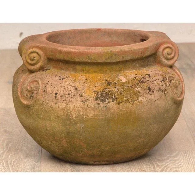 Mid-Century Modern Pair of Vintage Italian Benocci Maurizio Sinalunga Compton Pottery Terracotta Garden Scroll Pots For Sale - Image 3 of 6