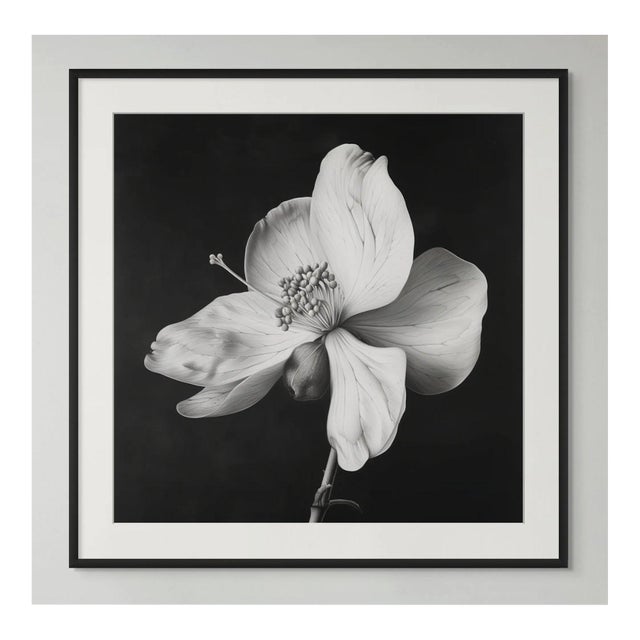 20" X 20" - 'Nutmeg Flower' - Black and White Botanical Photography Print For Sale