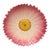 Majolica Pink Daisy Plate Delphin Massier, Circa 1890 For Sale