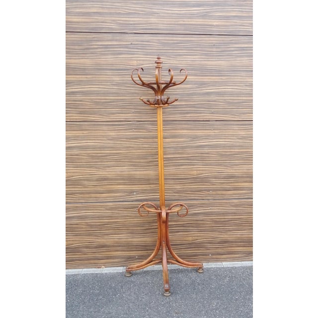Wall-Mounted Coat and Umbrella Rack from Jacob & Josef Kohn, 1905 For Sale - Image 6 of 9