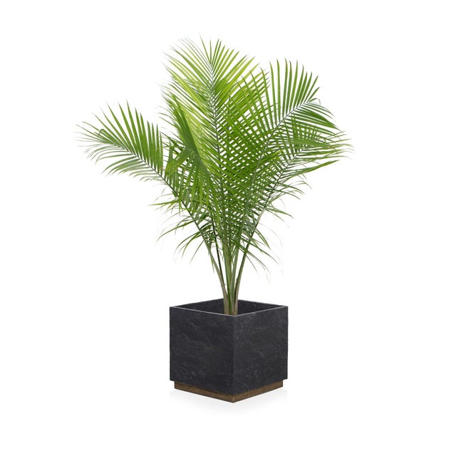 2020s Four Hands Ely Planter - Slate Brass Concrete For Sale - Image 5 of 8