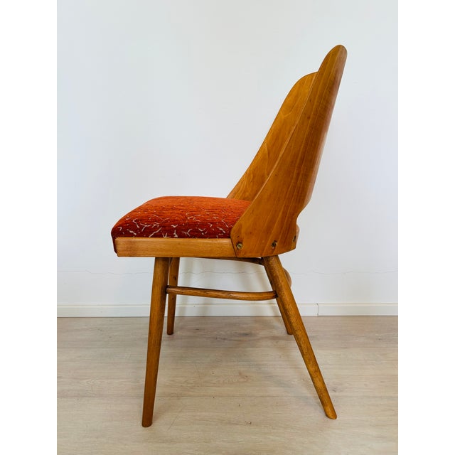 1950s Mid-Century Modern Dining Chair by Radomír Hofman for Ton, 1950s For Sale - Image 5 of 13