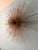 Mid-Century Modern Large Vintage Mid Century Modern Starburst Urchin Pom Pom Mixed Metal Abstract Brutalist Wall Sculpture by Curtis Jere For Sale - Image 3 of 5