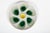 Pair Vintage Oyster Plates by Salins, France For Sale - Image 4 of 9