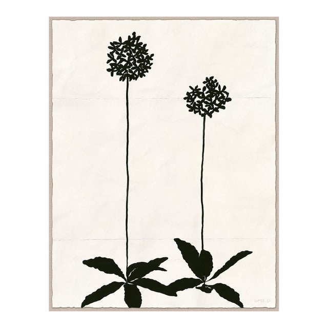 Allium (var. 2 ) by Susan Hable, Acrylic Box For Sale