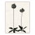 Allium (var. 2 ) by Susan Hable, Acrylic Box For Sale