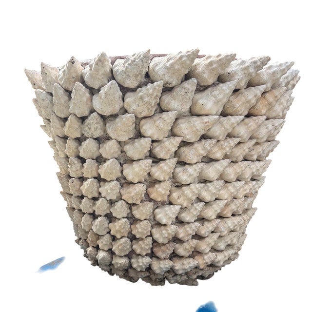 Monumental Italian Coquillage Shell-Encrusted Terracotta Planter, Mid-20th Century For Sale - Image 10 of 14