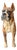 Boxer Figurine from Vaga Internacional, 1970 For Sale