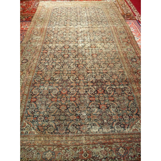 "This exceptional 19th century Persian Farahan rug from Western Persia features an elegant allover Herati pattern rendered...