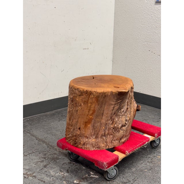 Organic Modern Live Edge Tree Side Table/ Stool For Sale - Image 11 of 12