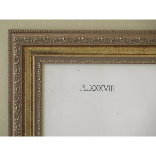 Drawing/Sketching Materials 1990s Vintage Professionally Framed Bird Art For Sale - Image 7 of 9