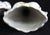 Antique Sunflower Spill Vases - a Pair For Sale - Image 9 of 12