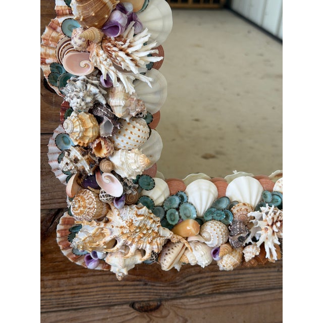 2020s Custom Coastal Seashell Wall Mirror With Coral & Mixed Shell Mosaic Frame For Sale - Image 5 of 12