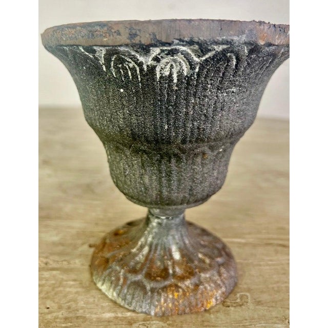 Metal Neoclassical Cast Iron Urns, Distressed Finish, France, 20th Century For Sale - Image 7 of 10