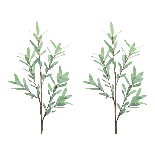 Rustic Olive Leaf Twig Branch (Set of 2) For Sale - Image 3 of 3