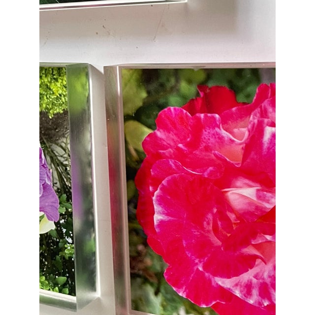 1970s Lucite Coasters Blocks Blooming Florals Roses For Sale In Miami - Image 6 of 6