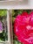 1970s Lucite Coasters Blocks Blooming Florals Roses For Sale In Miami - Image 6 of 6