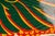 Vintage Nos DeKalb Winged Corn Advertising Sign For Sale In Chicago - Image 6 of 7