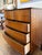 Mid 20th Century Vintage Mid Century Modern Dixie Tall Boy Dresser Storage For Sale - Image 5 of 12