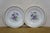 Mid 20th Century German Bavarian Franconia K&a Krautheim Floral Serving Plates 8" - Set of 12 For Sale - Image 10 of 14