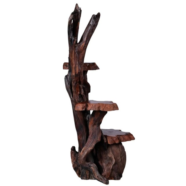 1970s Large Rustic Live Edge Tree Trunk Plant Stand or Art Pedestal For Sale - Image 5 of 13