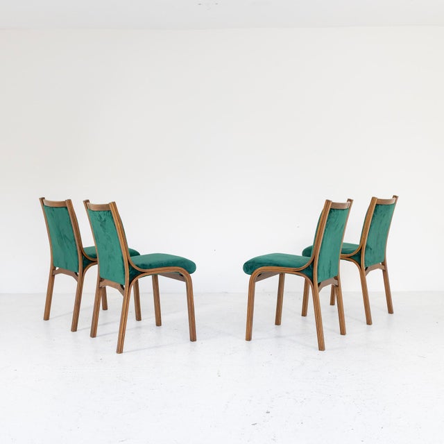 Brown Cavour Chairs by Gregotti, Meneghetti and Stoppino for SIM, 1960s, Set of 4 For Sale - Image 8 of 8