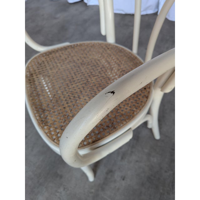 Wood Vintage Dining Chair in White Beech and Bentwood Cane Seat, 1970s For Sale - Image 7 of 18