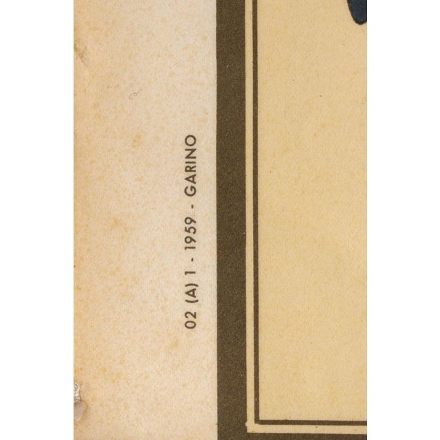 Plastic Educational Poster Depicting Reptiles and Amphibians from G.B. Paravia Torino, 1959 For Sale - Image 7 of 8