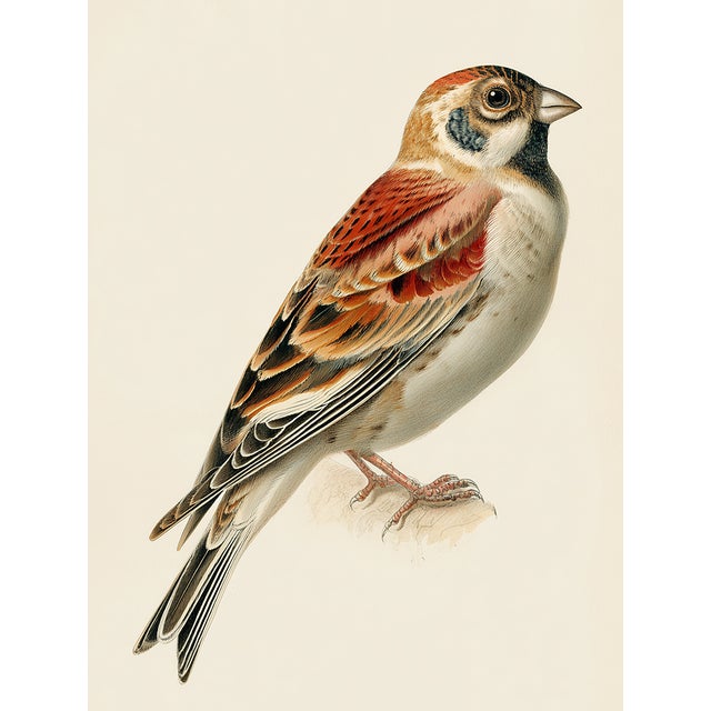 Blue 19th-Century Bird Illustrations — Fine Art Print Collection | Unframed For Sale - Image 8 of 17