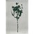 Wood Set of 6 - One-of-a-Kind Dark Green Botanical Organic Modern Original Oil Paintings / Herbarium / Floral / Earth Tones For Sale - Image 7 of 11