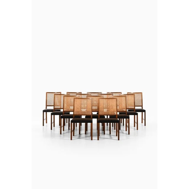 Set of 14 dining chairs in rosewood, cane and horsehair upholstery with leather piping by bernt petersen, 1960's...