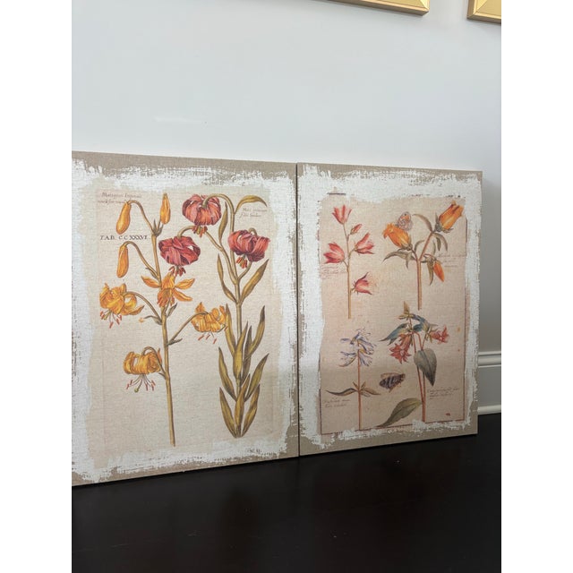 2000 - 2009 Botanical Canvas Wall Art- Set of 4 For Sale - Image 5 of 12