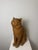 Montelupo Fiorentino Tuscan Artist, Sculpture of a Seated Cat, 19th Century, Terracotta For Sale - Image 3 of 18