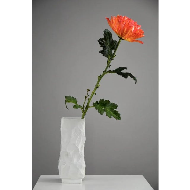 White Matt White Porcelain Vase by Seltmann & Weiden, 1960s For Sale - Image 8 of 12