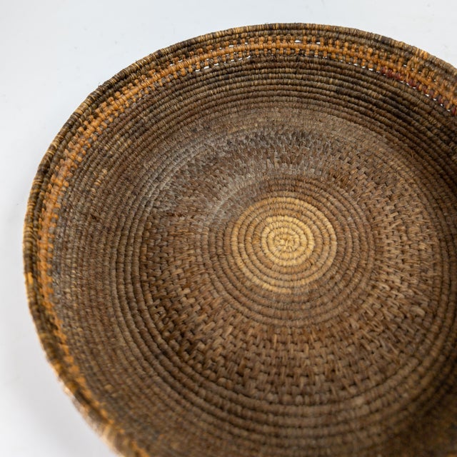 Early 20th Century Southwest Native American Indian Coiled Basket, Pima or Papago For Sale - Image 9 of 13