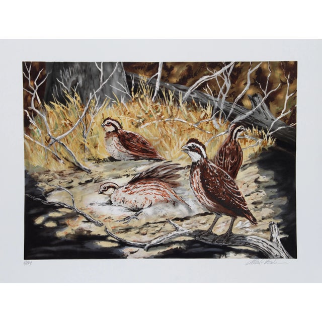 Artist: Allen Friedman, American Title: Quail Year: 1979 Medium: Lithograph, signed and numbered in pencil Edition: 200,...
