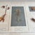 Blue Herbarium Flower Pollination, Germany, 1950s For Sale - Image 8 of 11