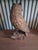 1970s Vintage Hand-Carved Wood Owl For Sale - Image 5 of 12