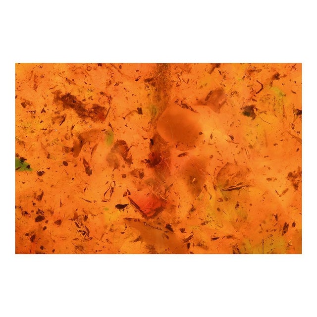 Fractal Resin Lamp by Henri Fernandez For Sale - Image 3 of 6