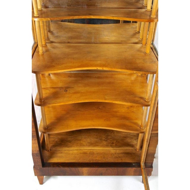 19th Century Biedermeier Display Cabinet in Vitrine and Nutwood, Austria, 1840 For Sale - Image 6 of 17