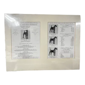 1910s Vintage Airdale Terrier Dog Print