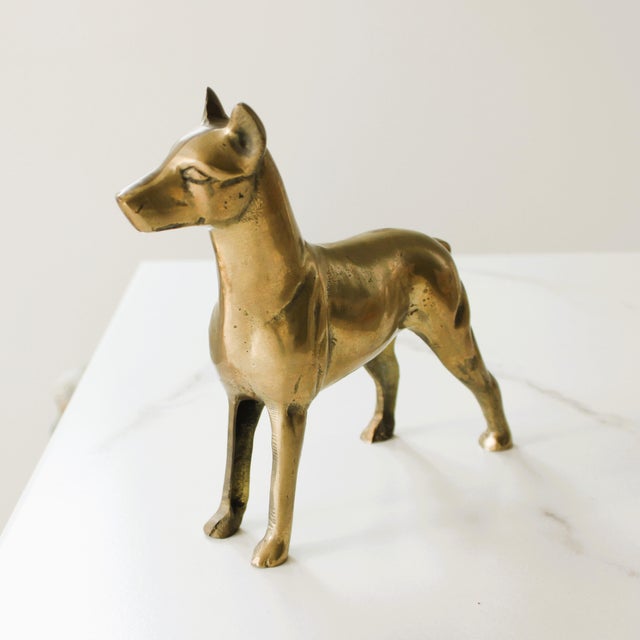 Regal Doberman pitcher dog with polished brass finish.