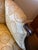 Mid 19th Century Victorian Arm Chair For Sale - Image 4 of 14