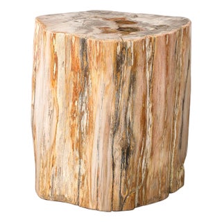 Polished Petrified Wood Side Table/Stool W/ Agate Inclusions & Natural Graining For Sale