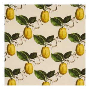 Schumacher x Johnson Hartig Le Citron Fabric in Natural