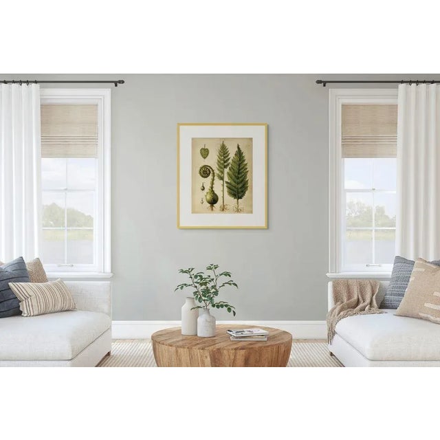 Set of 6 - 16' X 20' 'Fiddlehead Fern Studies' Dark Green Botanical Floral Prints, Unframed For Sale - Image 4 of 9