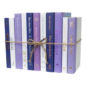 Decorative Books - Violet Eclipse Book Bundle - 1 Foot of Purple Books