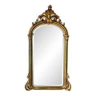 19th Century French Rococo Style Gold Gilt Arched Floor or Wall Mirror For Sale