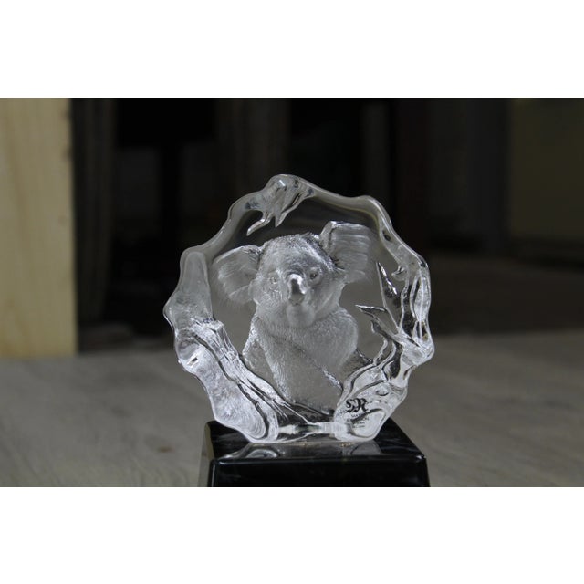 Cute miniature glass paperweight with a realistic etching of a Koala Bear facing out from the front surface of an...